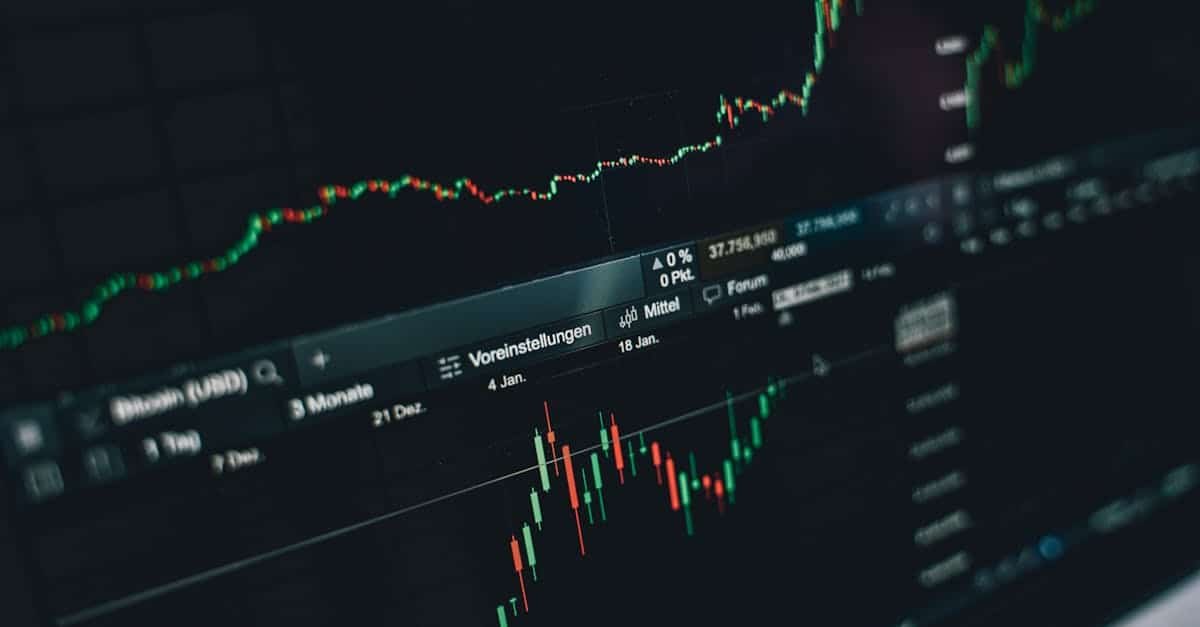 Crypto Investors